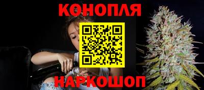 шишки Конаково